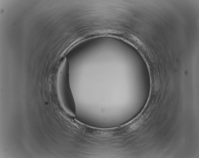 X0000065241361200603031728