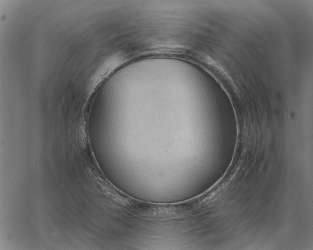 X0000065241362200603031728