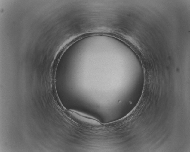 X0000065241364200603031728