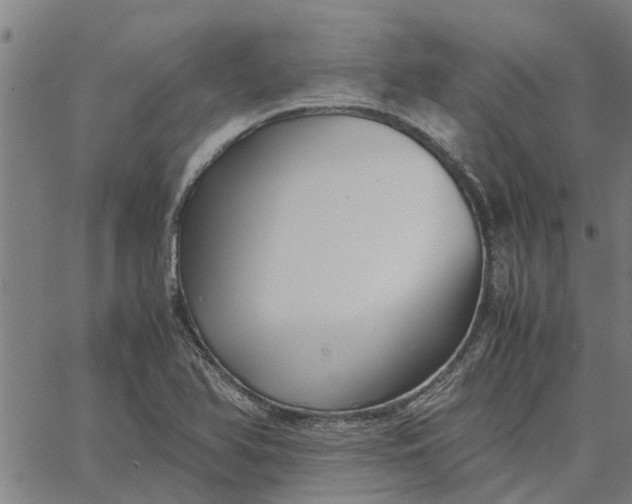 X0000065241366200603031728