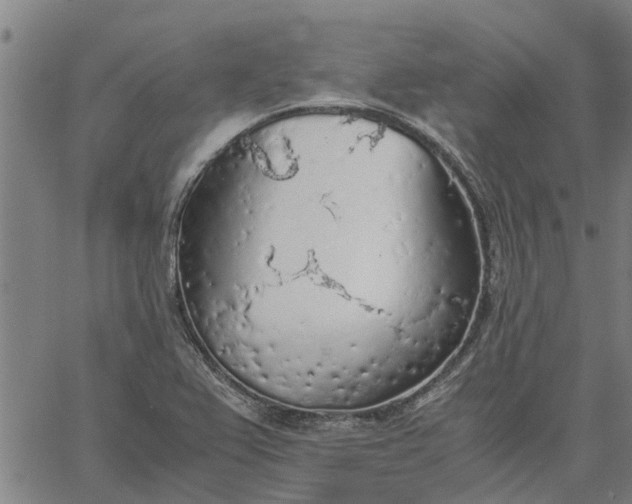 X0000065241367200603031728