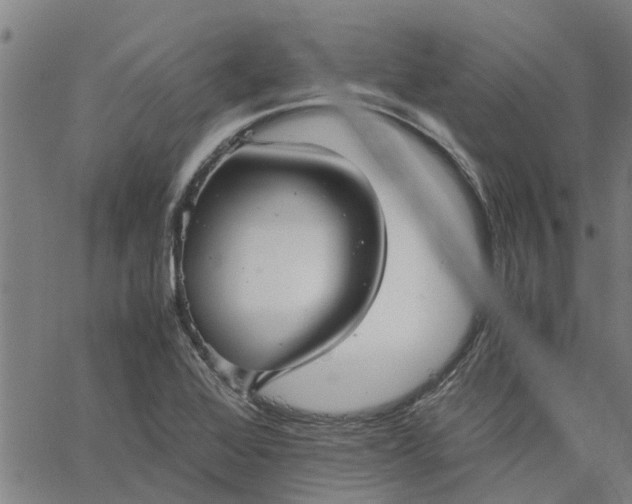 X0000065241368200603031728