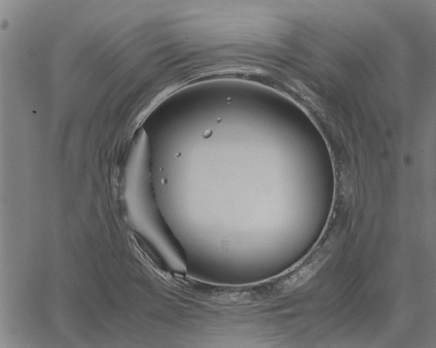 X0000065241369200603031728