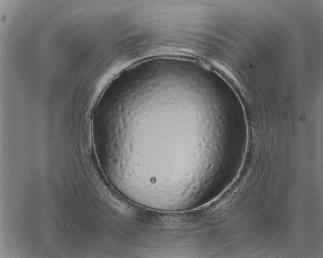 X0000065241371200603031728