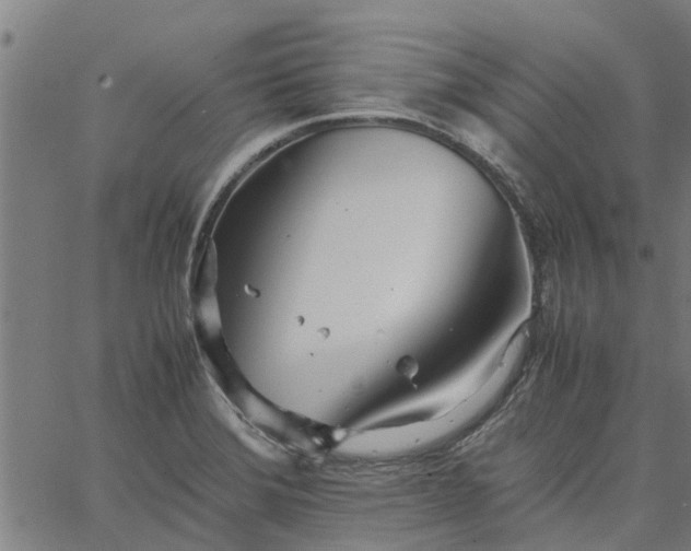 X0000065241372200603031728