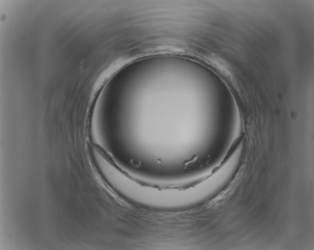 X0000065241373200603031728