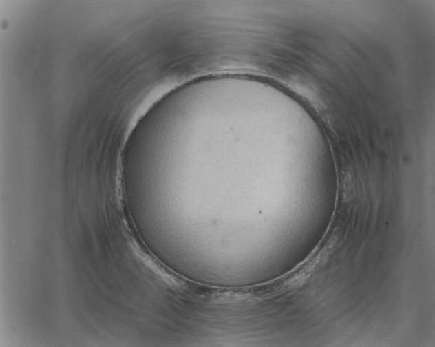 X0000065241374200603031728