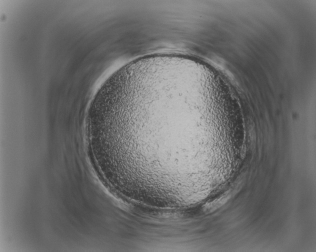 X0000065241375200603031728