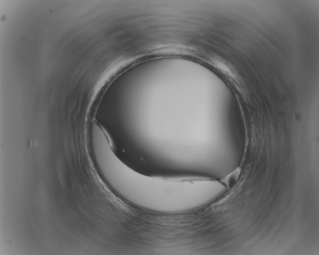 X0000065241376200603031728