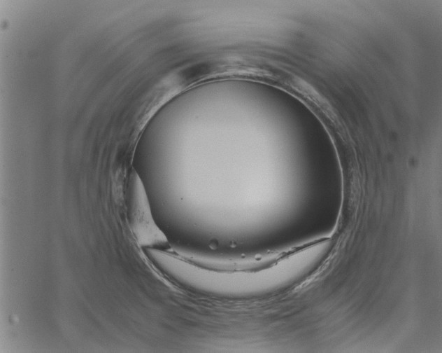 X0000065241377200603031727