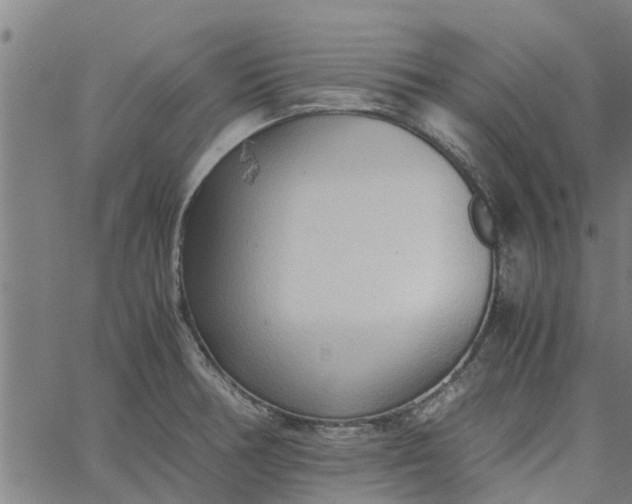 X0000065241378200603031727