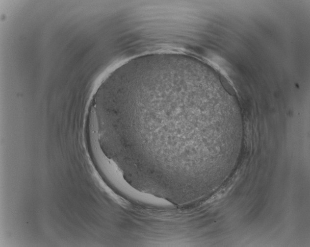 X0000065241379200603031727