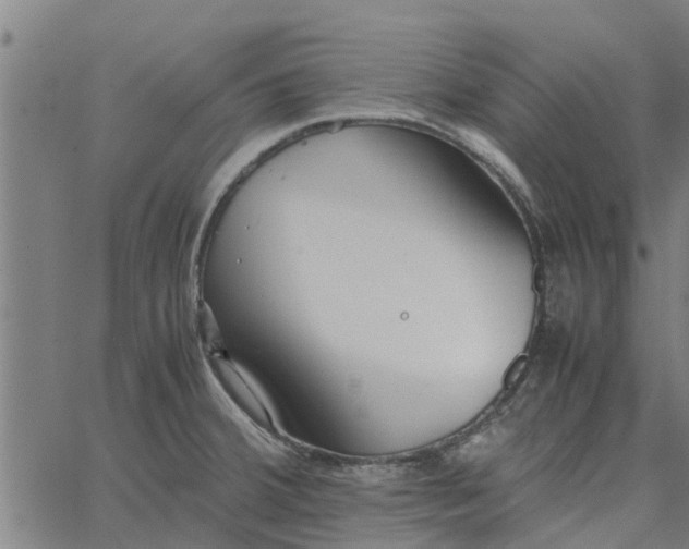 X0000065241380200603031727