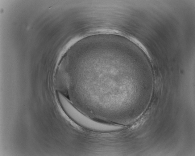 X0000065241381200603031727