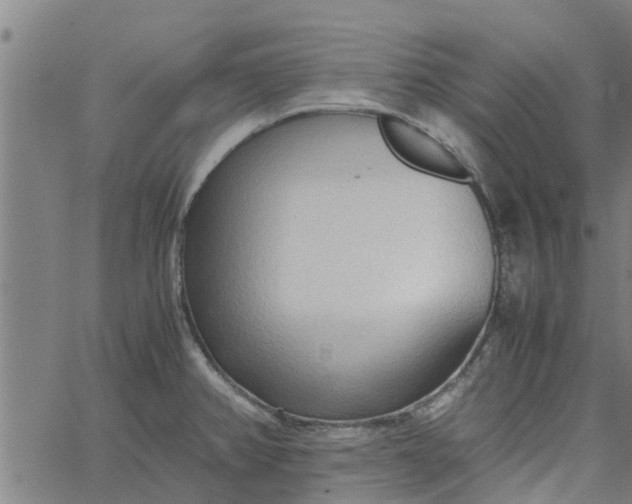 X0000065241382200603031727