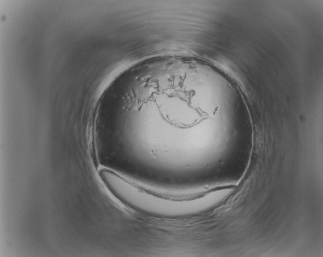 X0000065241383200603031727