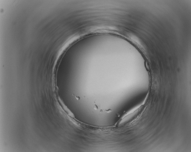 X0000065241384200603031727