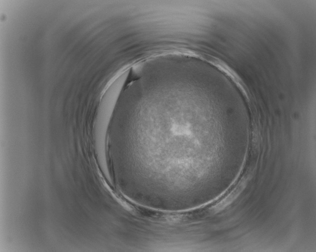 X0000065241385200603031727