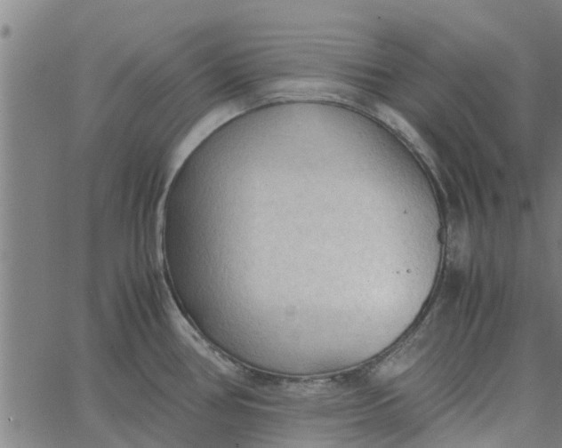 X0000065241386200603031727