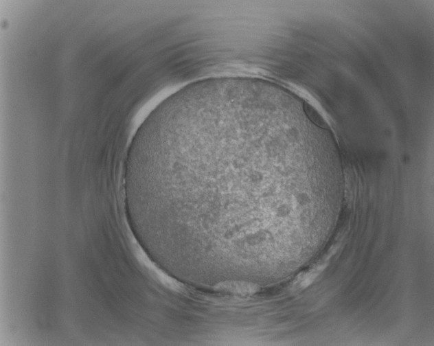 X0000065241387200603031727