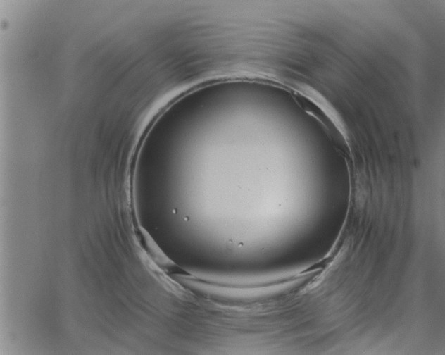 X0000065241388200603031727