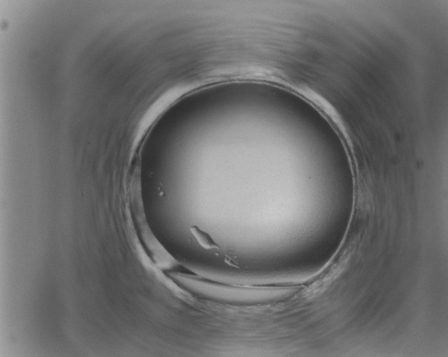 X0000065241389200603031727