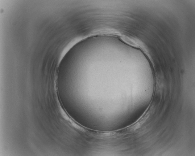 X0000065241390200603031727