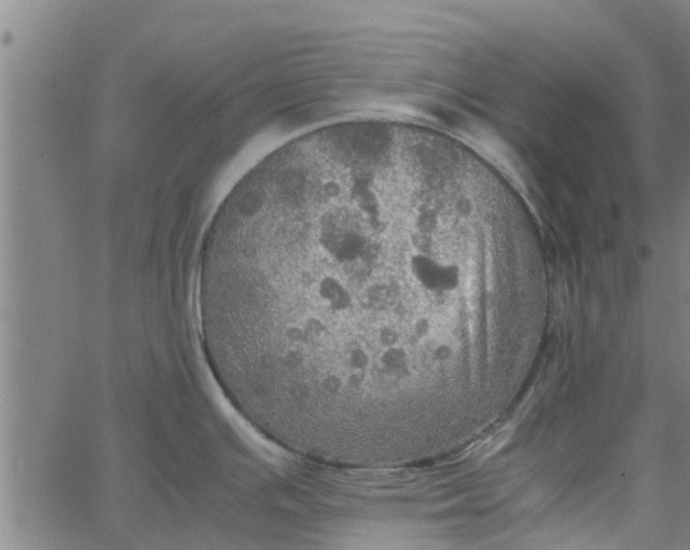 X0000065241391200603031727