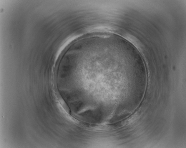 X0000065241392200603031727