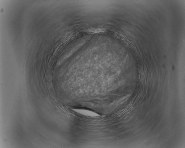 X0000065241393200603031726