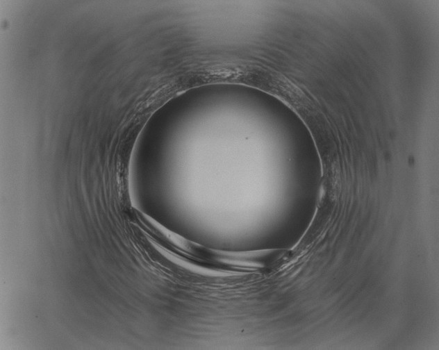 X0000065241394200603031726