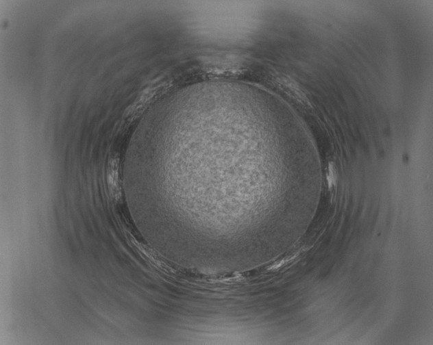 X0000065241396200603031727