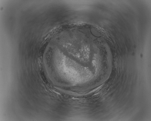 X0000065241397200603031727