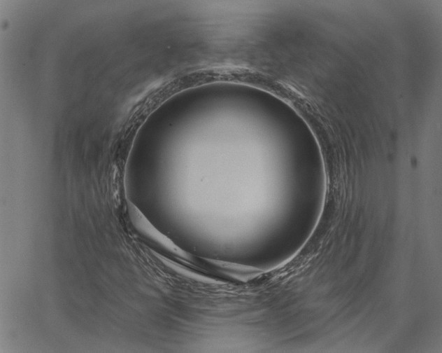 X0000065241398200603031727