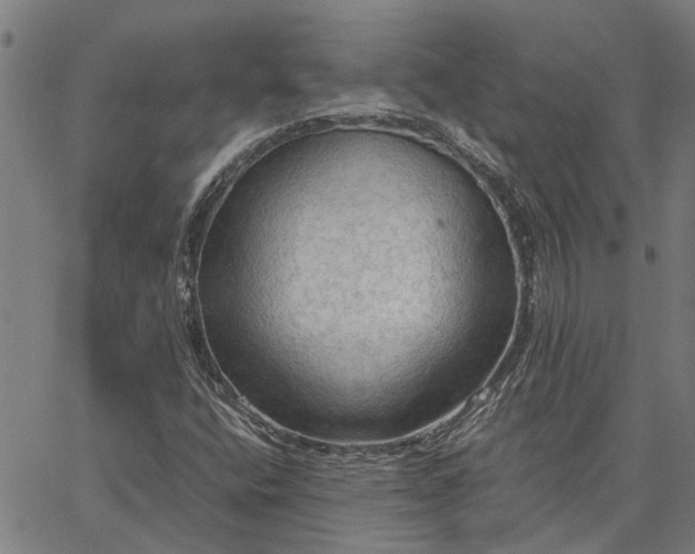 X0000065241400200603031727