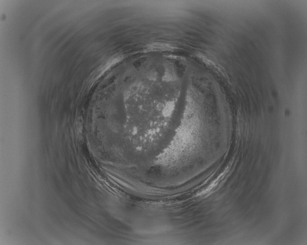 X0000065241401200603031727