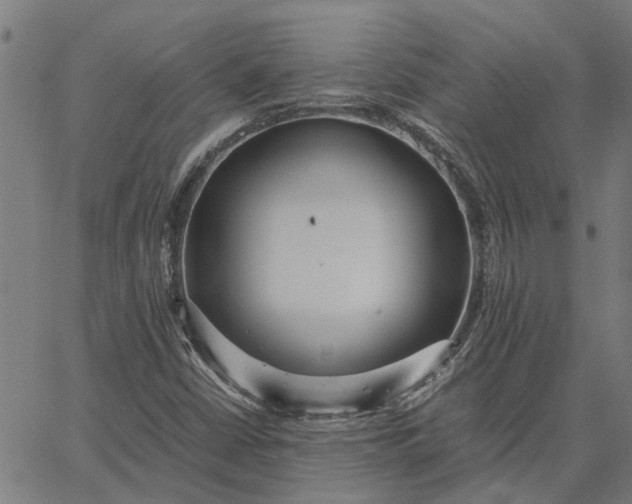 X0000065241402200603031727