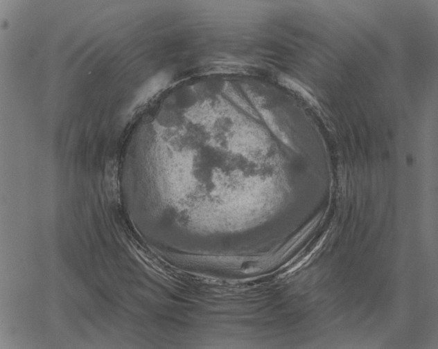 X0000065241403200603031727