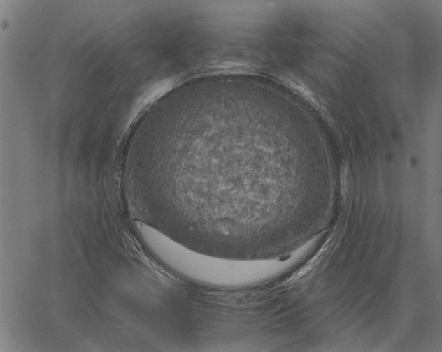 X0000065241405200603031727