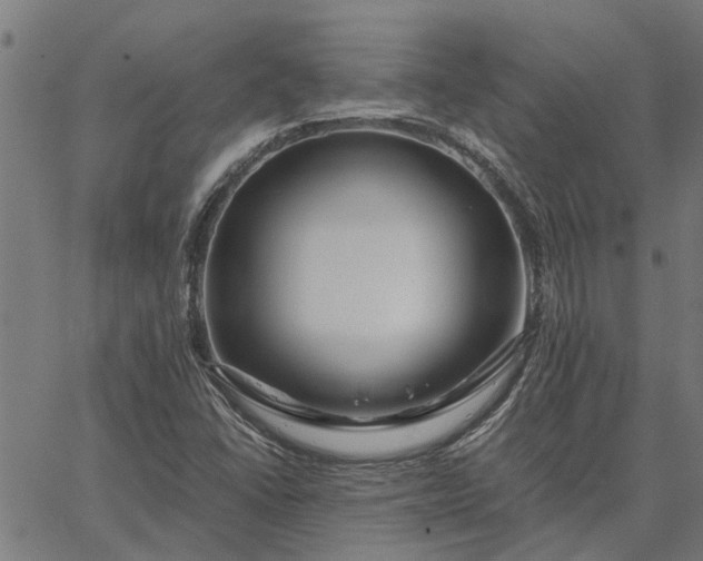 X0000065241406200603031727