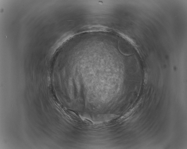 X0000065241407200603031727