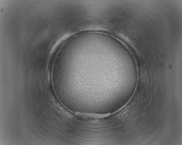 X0000065241408200603031727