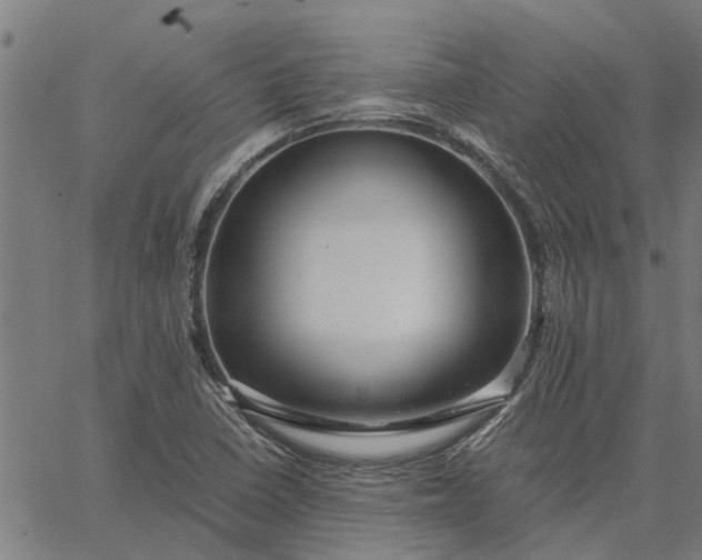 X0000065241410200603031727