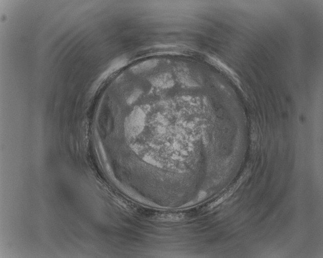 X0000065241411200603031727