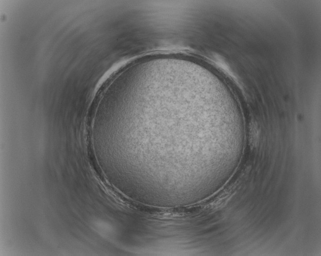 X0000065241412200603031727