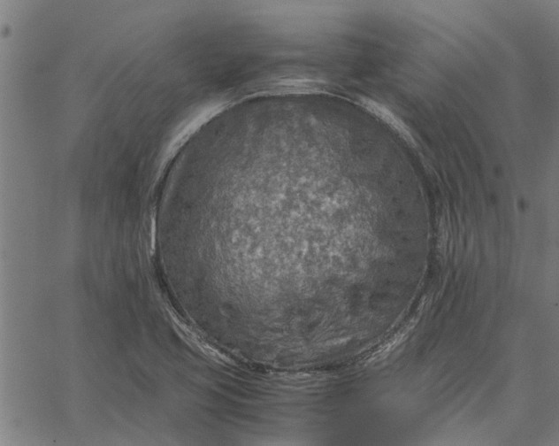 X0000065241413200603031727