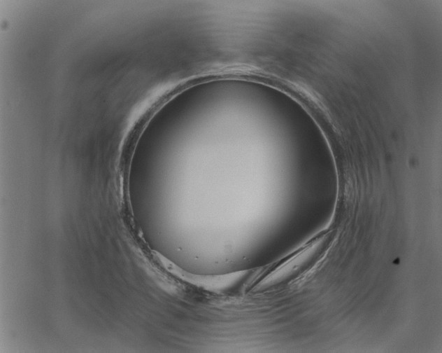 X0000065241414200603031727