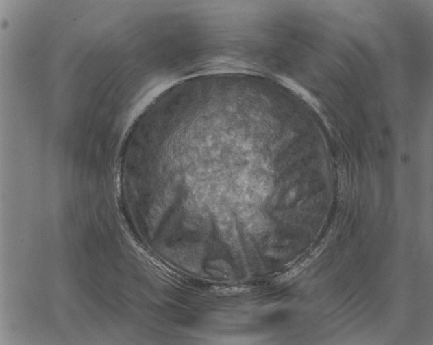 X0000065241415200603031727