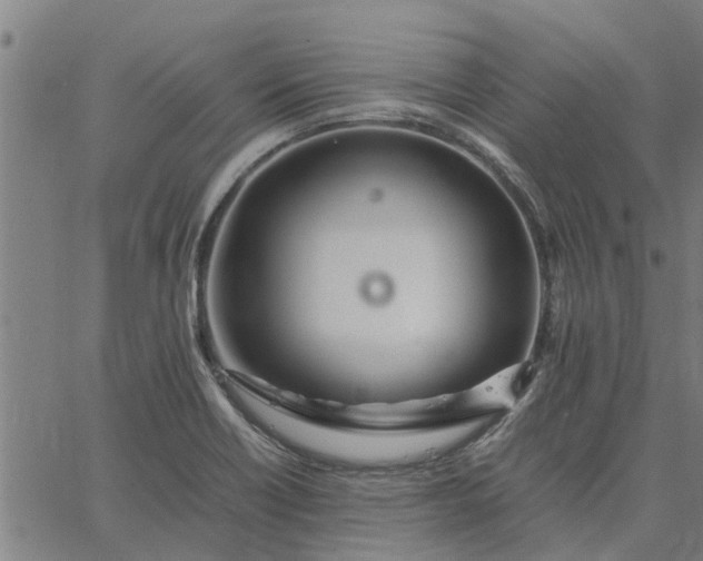 X0000065241418200603031727