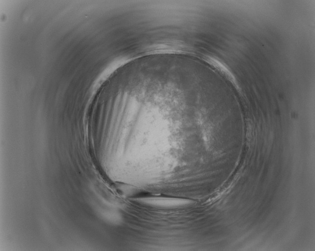 X0000065241419200603031727